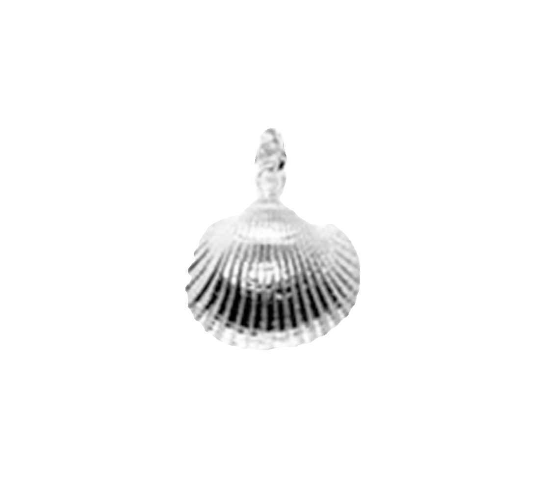 Maxi Cleethorpes Shell Pendant