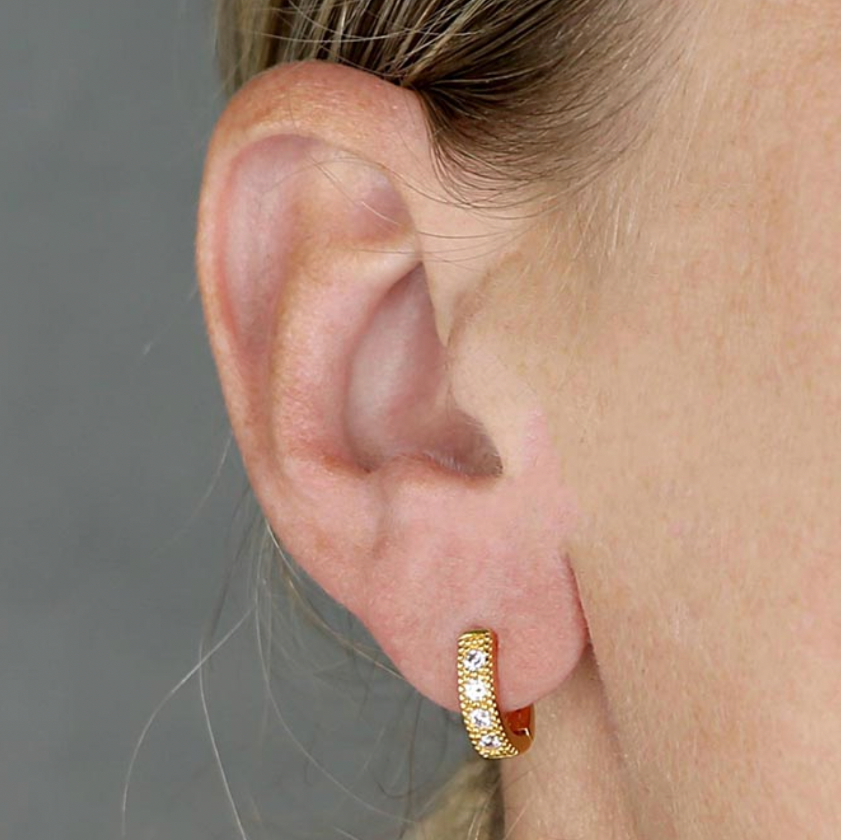 Horseshoe Hoops