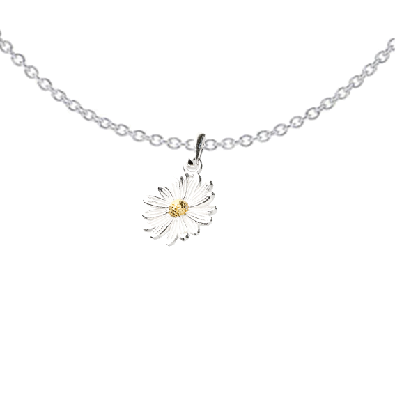 Silver necklace with a daisy flower pendant on a white background