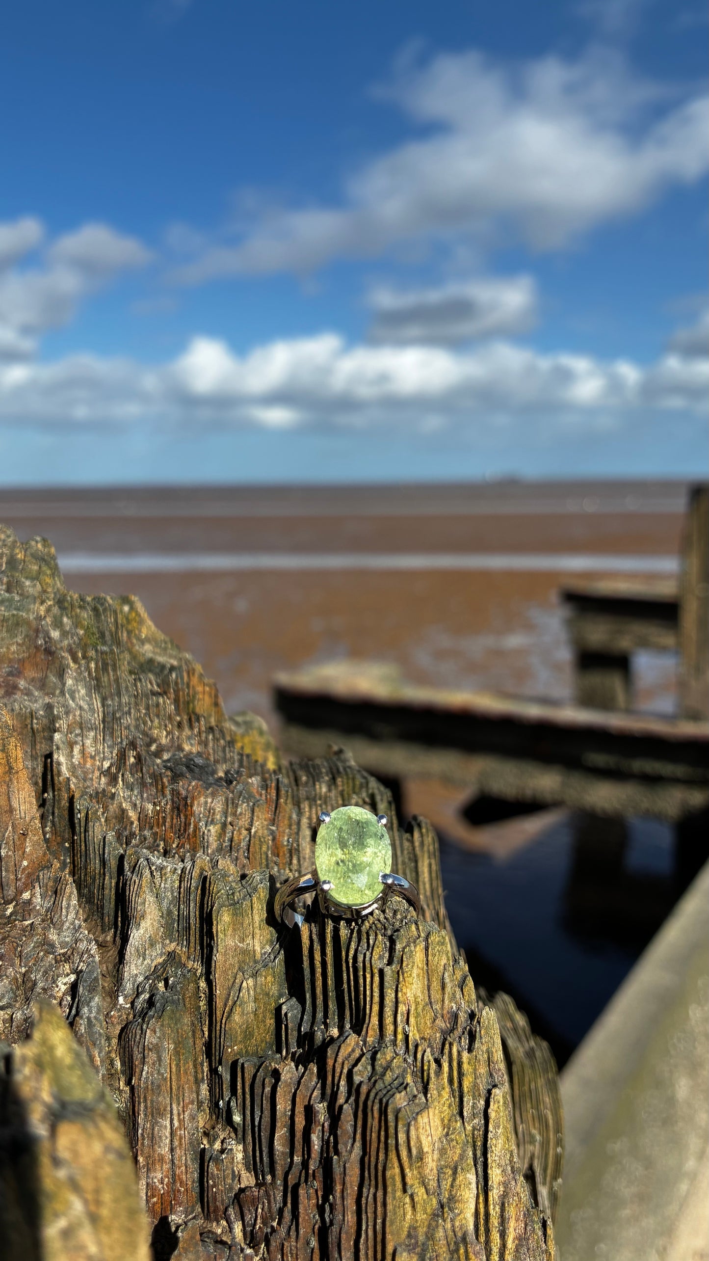 Aquamarine Treasure Ring