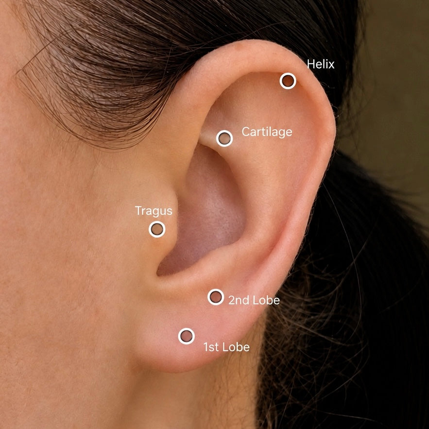 Humming Bird Flat Back Stud
