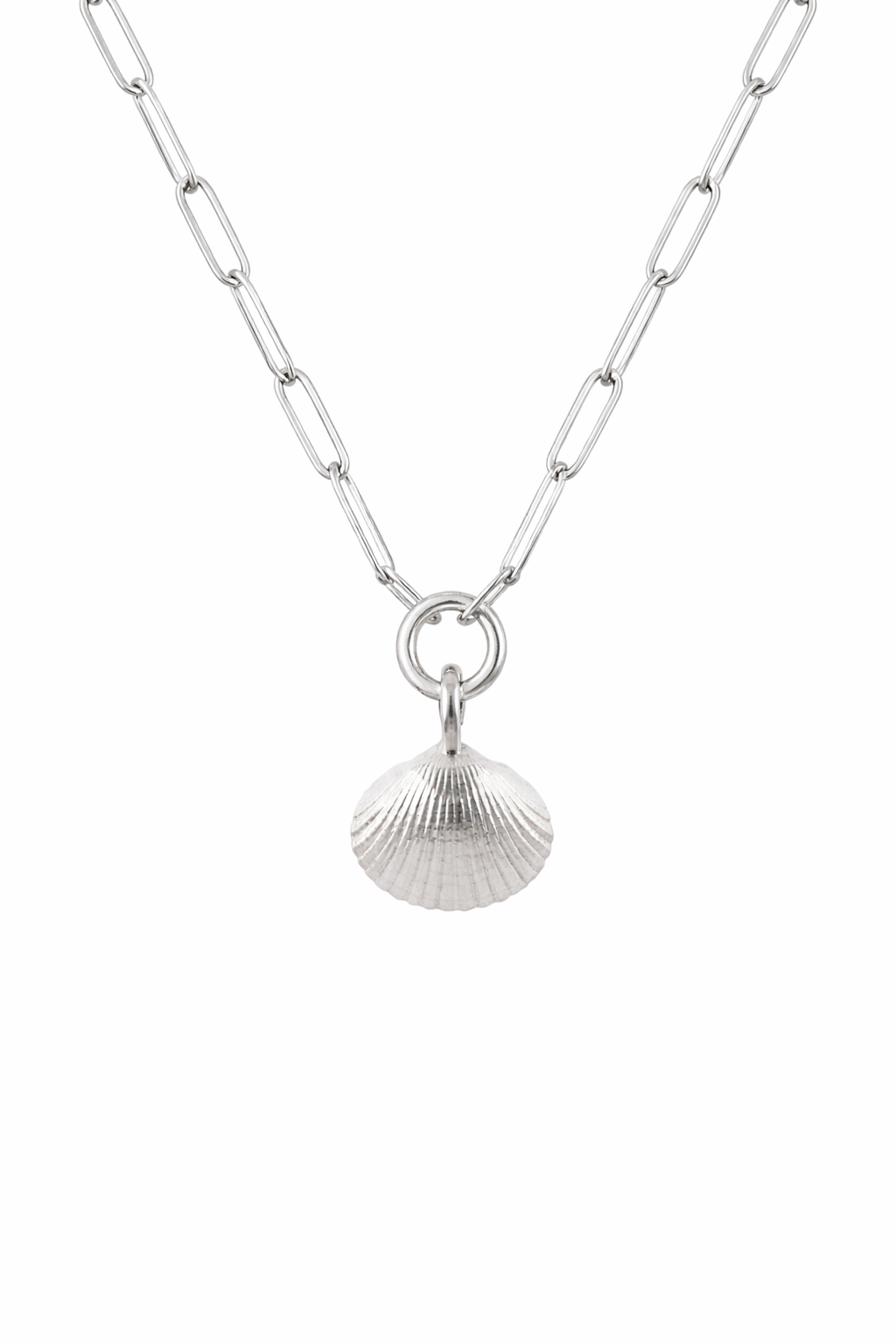 Maxi Cleethorpes Shell Trace Chain Necklace