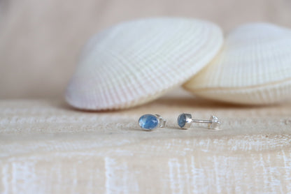 Oval Blue Moonstone Studs