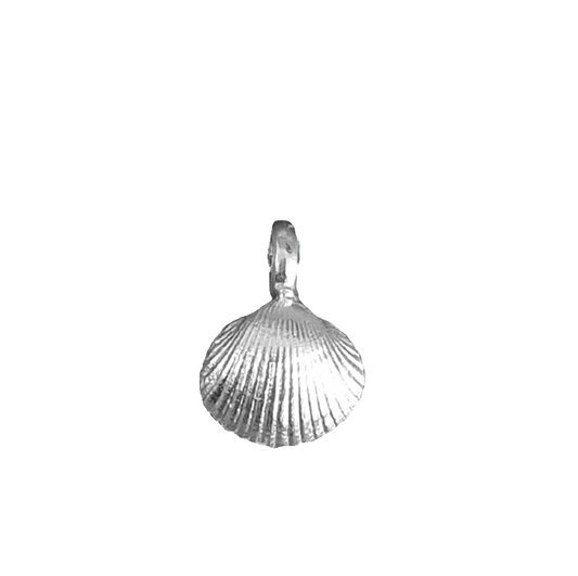Midi Cleethorpes Shell Pendant