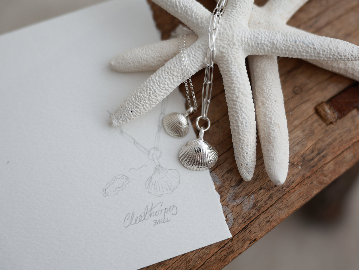 Silver shell trace necklace 