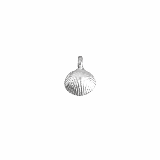 Silver shell pendant on a white background