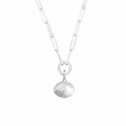 Handmade shell necklace on a white background 