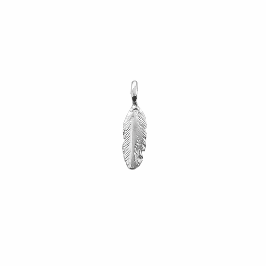 Silver feather pendant on a white background