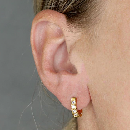 Horseshoe Hoops