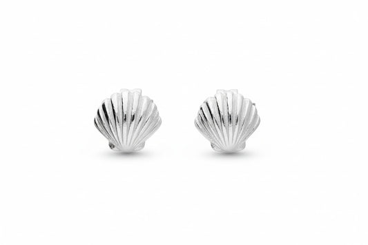 Silver shell-shaped stud earrings on a white background