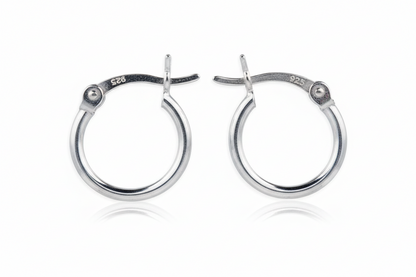Small Hoop Earrings