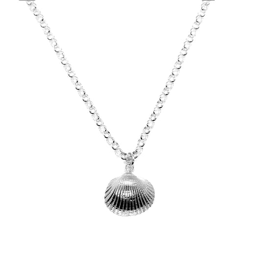 A sterling silver necklace with a belcher chain and a real shell pendant from Cleethorpes Beach.