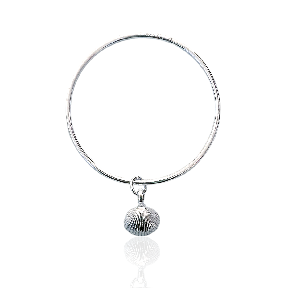 Midi cleethorpes shell bangle on a white background 